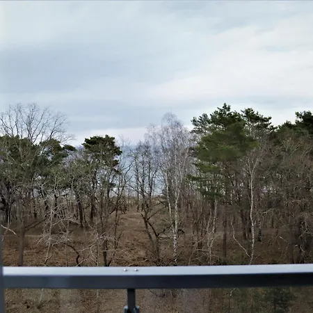Prora - Ausblick *